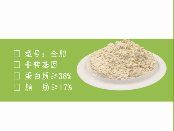 广东全脂活性大豆蛋白